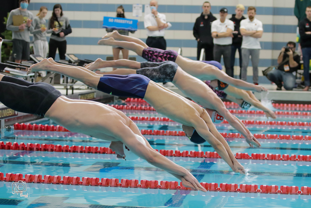 Preview Finals Opportunities Abound for Swim & Dive Contenders