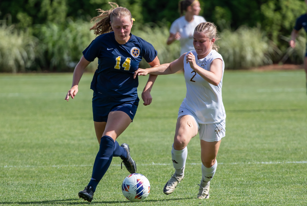 Hartland’s Addie Frantti (14) and Adams’ Catherine Delikat contend for possession during Friday’s Division 1 Final.