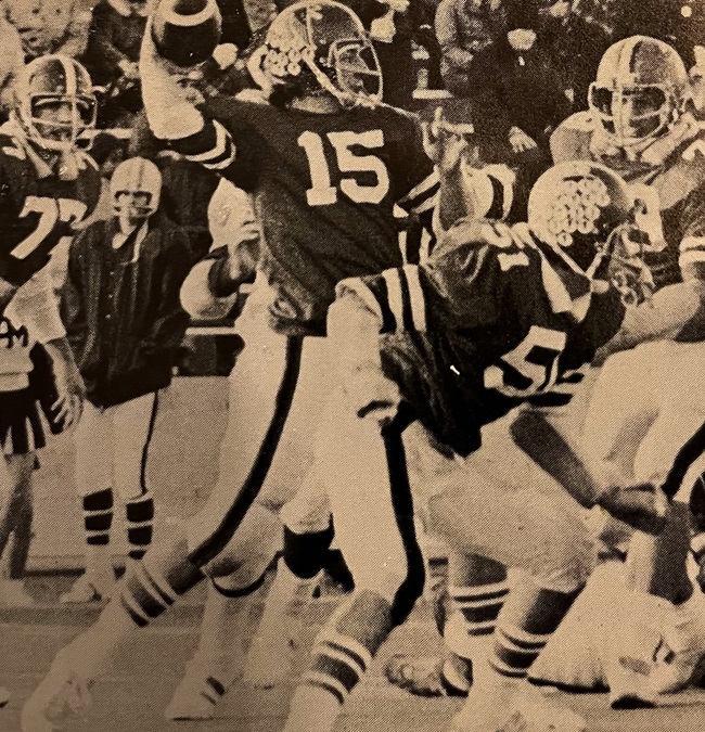 Falcons quarterback Dan Faletti throws a pass during the Final.