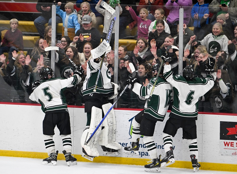 Painesdale Jeffers celebrates during its Quarterfinal win over Sault Ste. Marie.