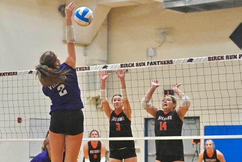 Saginaw Swan Valley’s Hadley Wagner connects on a kill attempt while Clio’s Alaina Gliniecki (3) and Kelcy Sperling (14) get ready at the net, also Tuesday at Birch Run.