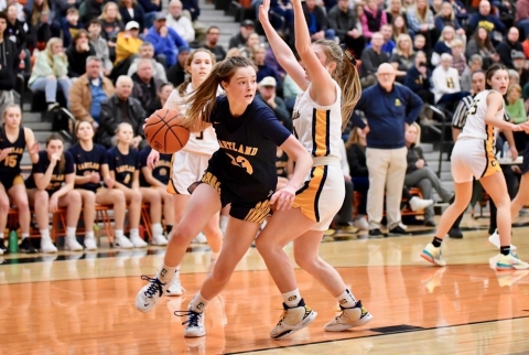 G.R. West Catholic beats Edwardsburg in MHSAA girls basketball quarterfinal