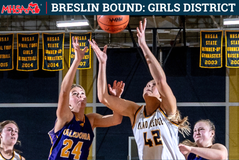 Breslin Bound: 2022-23 Girls District Preview | Michigan High School ...