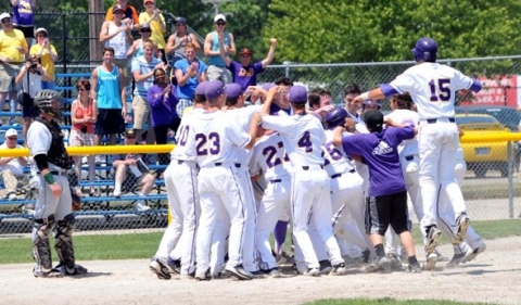 Bridgman baseball advances to state final after 3-2 win over  Standish-Sterling