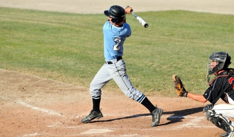 Bridgman baseball advances to state final after 3-2 win over  Standish-Sterling