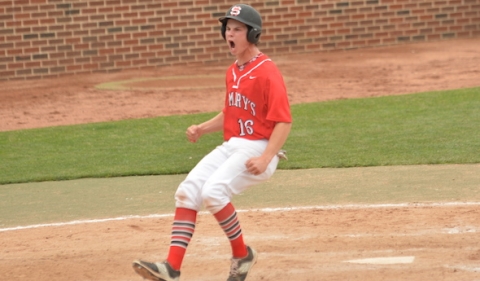 Bridgman baseball advances to state final after 3-2 win over  Standish-Sterling