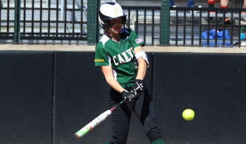 Williamston vs. Portland St. Patrick baseball